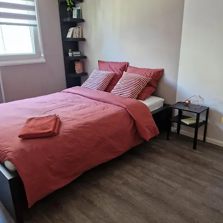 Robertsau Tres Bel Appartement Straatsburg Buitenkant foto