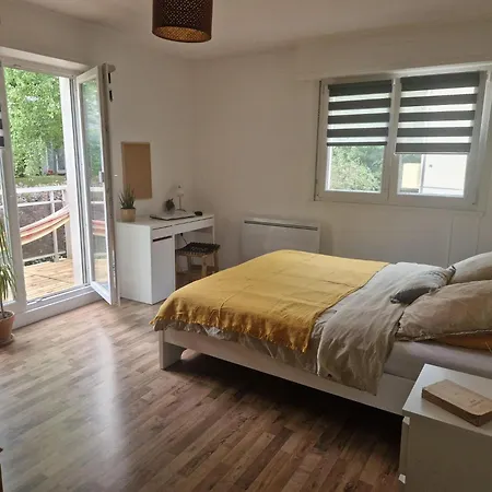 Robertsau Tres Bel Appartement Straatsburg Buitenkant foto
