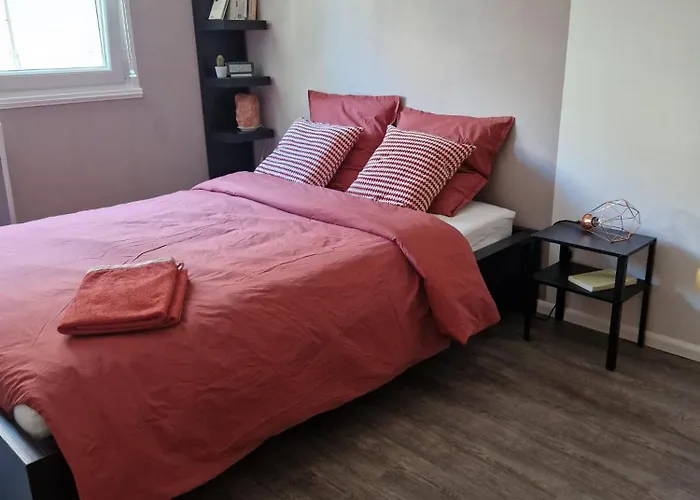 Robertsau Tres Bel Appartement