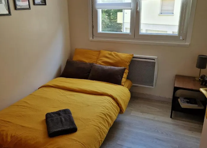 Robertsau Tres Bel Appartement